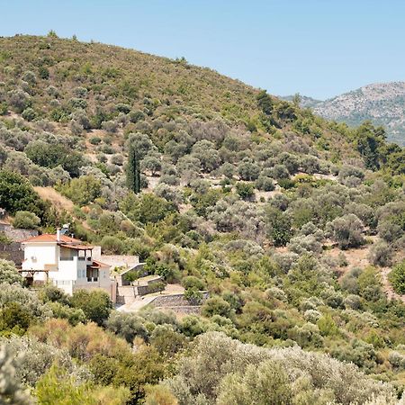 Villa Vicky بيثاغوريو المظهر الخارجي الصورة
